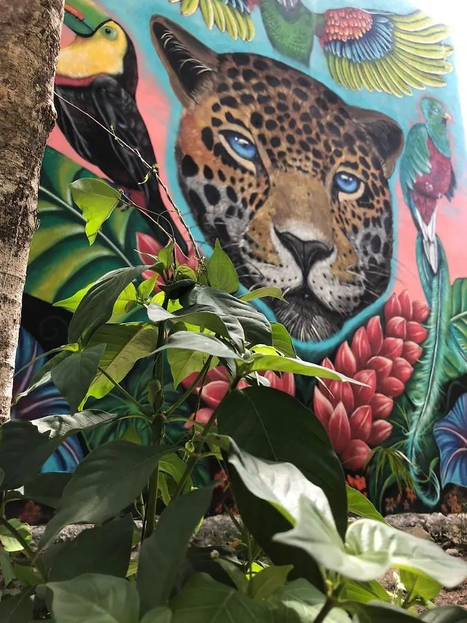 Bed and Breakfast Aldea Yuyu Tulum 0*,  Mexiko