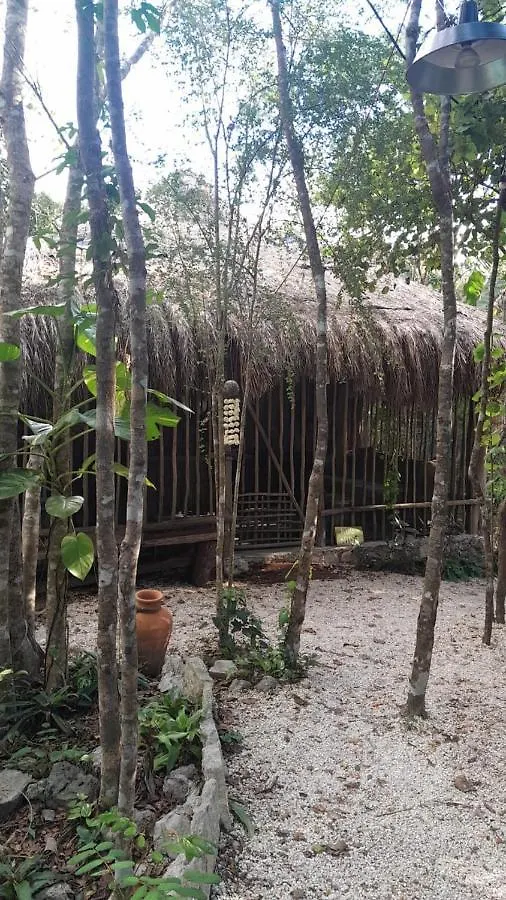 Frühstückspension Bed and Breakfast Aldea Yuyu Tulum